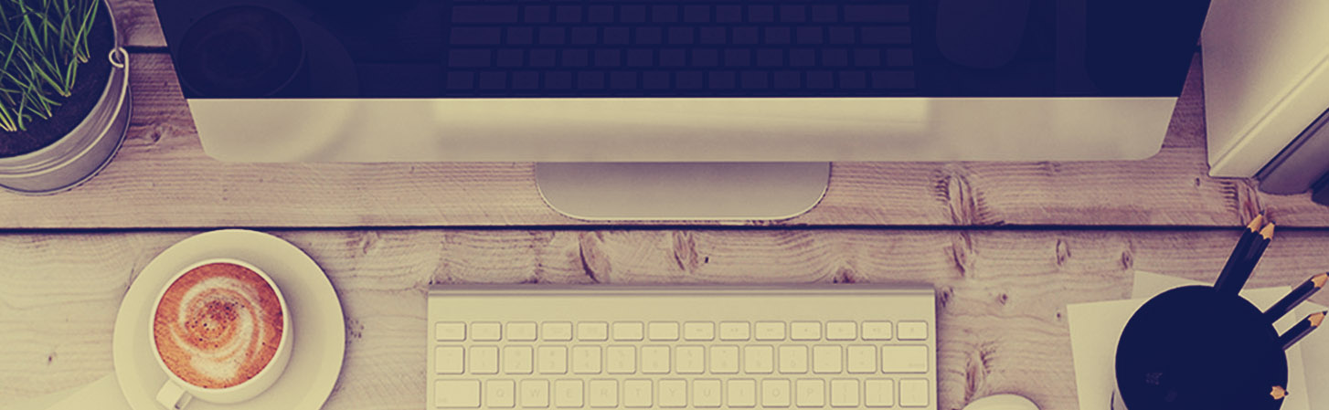 17 diseno paginas web